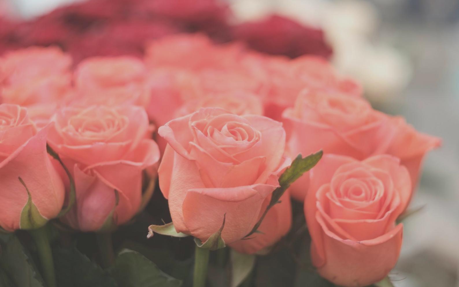 Game development workspace with multiple monitors showing code and game assets